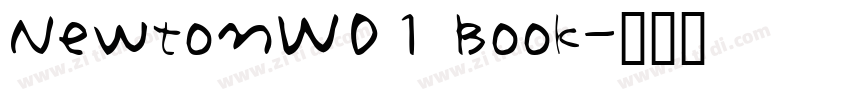 NewtonW01 Book字体转换